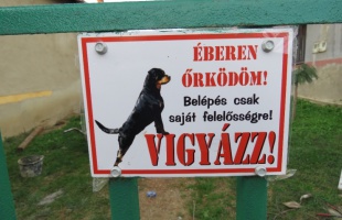Idős hölgynek ment neki az agresszív kutya - vádat emelhetnek a kutyatulajdonos ellen