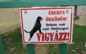 Idős hölgynek ment neki az agresszív kutya - vádat emelhetnek a kutyatulajdonos ellen
