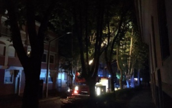 Még mindig helyezkednek a fák a pénteki vihar után