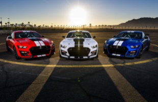 Ford Mustang - Sikert sikerre halmoz