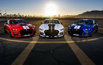 Ford Mustang - Sikert sikerre halmoz