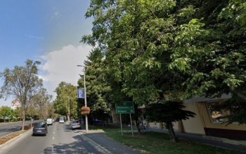 Szerdán pótolják a fakivágásokat a Berzsenyi utcában