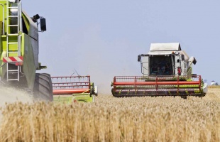 Véget ért a nyári kalászosok és a repce aratása