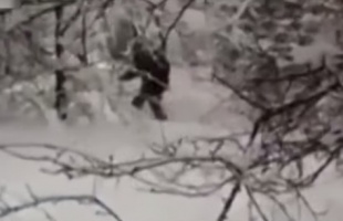 Jeti után kutatnak Oroszországban