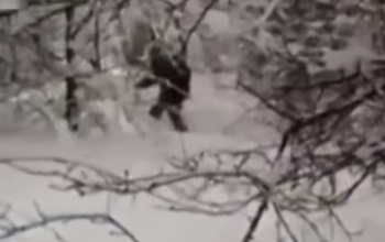 Jeti után kutatnak Oroszországban