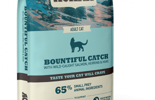 Macskatartás egyszeregy kezdő gazdiknak