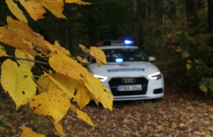 Közös ellenőrzést tartottak a somogyi erdők védelméért