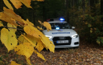 Közös ellenőrzést tartottak a somogyi erdők védelméért