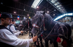 Geszti Péterrel és kutyás bemutatókkal startol a KÁN