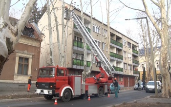 Metszik az öreg platánokat, de gondot okoznak a tilosban parkolók