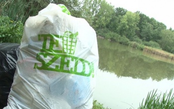 Teszedd: a Desedánál gyűjtöttek