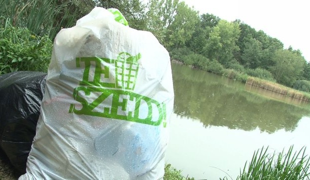 Teszedd: a Desedánál gyűjtöttek