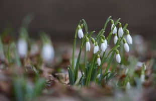 A jövő héten szárazabb, de hűvösebb idő várható