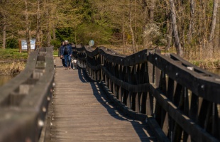 25 éve avatták fel a desedai arborétum hídját