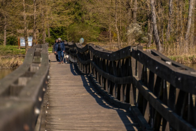 25 éve avatták fel a desedai arborétum hídját
