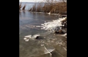 Jégcunami a Balatonon!