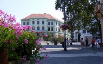 Szépítünk és védünk