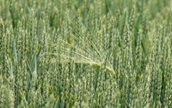 Robog tovább az Agrárium 2026: Somogy vármegyében is számít a gazdák visszajelzésére a KSH