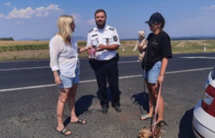 A kutyákról sem feledkeztek meg a rendőrök az M7-esnél