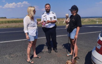 A kutyákról sem feledkeztek meg a rendőrök az M7-esnél