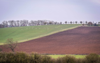 Gyorsabb agrártámogatási kifizetések, számos pályázati lehetőség a gazdálkodóknak