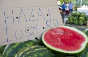 Két hét múlva indul a dinnyeszezon