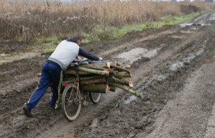 Fázott, ezért fát lopott a mezőcsokonyai férfi
