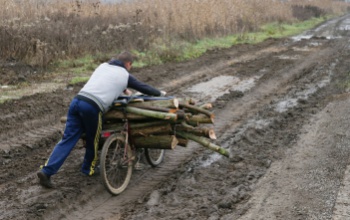 Fázott, ezért fát lopott a mezőcsokonyai férfi