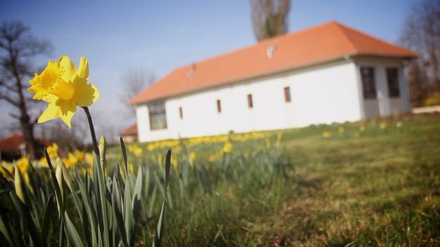 Videón a kaposvári tavasz