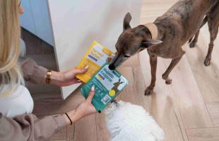 Egészséges étel, boldog kutya – ezért fontos, hogy mit eszik a kedvenced!