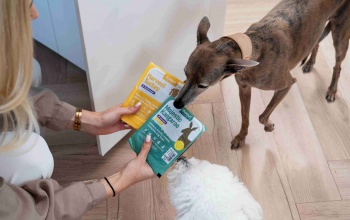 Egészséges étel, boldog kutya – ezért fontos, hogy mit eszik a kedvenced!