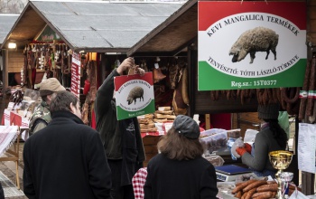 A magyar mangalicatermékek meghódították a világpiacot