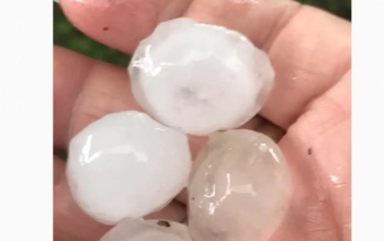 Bejött a meterológiai előrejelzés a Balatonnál