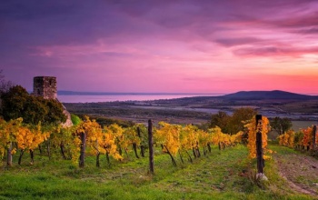 A tavalyihoz hasonló forgalom várható a Balatonnál szeptemberben