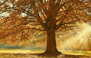 Ma este megkezdődik a csillagászati ősz