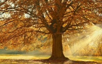 Ma este megkezdődik a csillagászati ősz