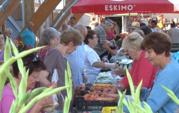 Műanyagmentes július a piacon? De hogyan?