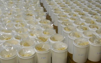 A Nébih laboratóriuma lett az első hazai akkreditált referenciaanyag-gyártó szervezet