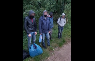 Négy illegális bevándorló próbált meg Magyarországra jutni Berzencénél
