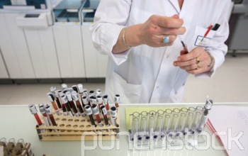 Káros anyagok a szervezetünkben
