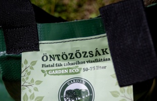 A fiatal fákat is óvják a kánikulában Kaposváron