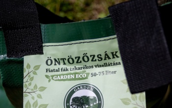 A fiatal fákat is óvják a kánikulában Kaposváron