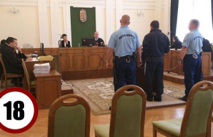 Szita Bence-ügy: a vád és a vádlottak