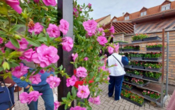 Virágözön a Kaposvári Nagypiacon, ovisok ültettek virágot a Színház parkban