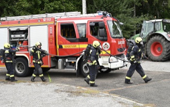 Kidőlt fákkal, lakástűzzel és feszültség alatt lévő járművel is megküzdöttek
