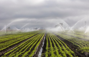 Október végén ideiglenesen befejezte munkáját az Aszályvédelmi Operatív Törzs