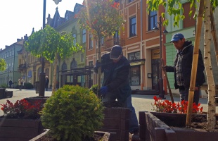Virágosodnak Kaposvár közterületei