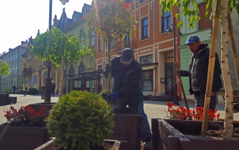 Virágosodnak Kaposvár közterületei