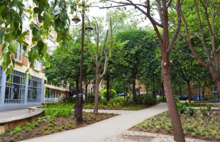 Új helyszínen tartják meg az Állatok Világnapjára tervezett programot