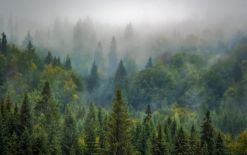 Indul az Erdők Hete országos rendezvénysorozat